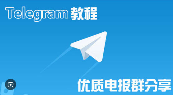 如何在Telegram中查看已加入的群組？|Telegram中文官網