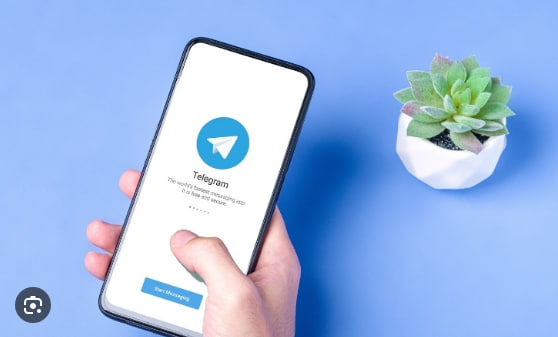 Telegram如何设置群组权限?|Telegram下载