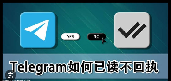 Telegram下载:Telegram如何查看对方是否已读消息？